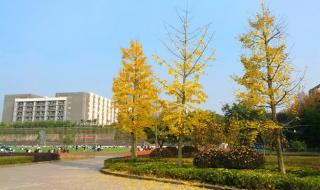 重庆医药高等专科学校是几本 重庆医药高等专科学院